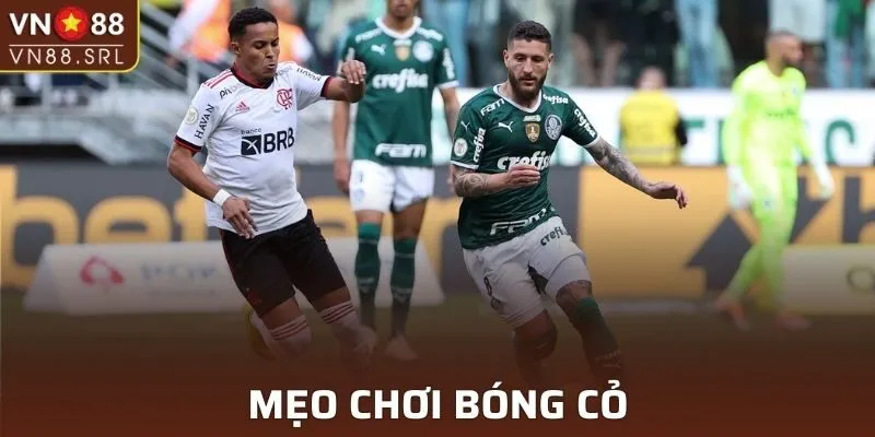 Bóng Cỏ