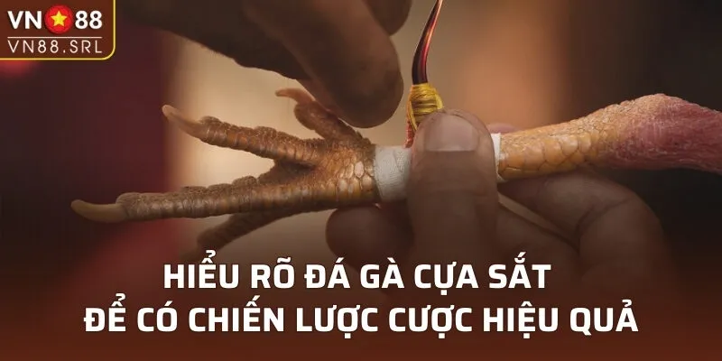 Đá Gà Cựa Sắt